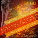 cover: Elbert Phillips - Feeling Good (feat Terrance Downs)