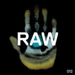 cover: Alex Costa & Kaiserdisco - Raw 012