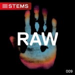 cover: Carlo Ruetz - Raw 009 - Stems