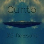 cover: Quinto - 313 Reasons