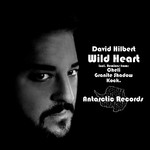 cover: David Hilbert - Wild Heart