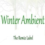 cover: Cristian Paduraru - Winter Ambient (Chillout Lounge Inspirational Music Album)