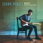 cover: Shawn Mendes - Mercy (Acoustic Guitar)