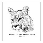 cover: Andres Blows - Space