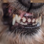 cover: Blanck Mass - World Eater