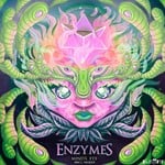 cover: Enzymes - Mind's Eye, Part 2 The Body