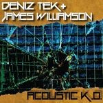 cover: James Williamson - Acoustic K.O