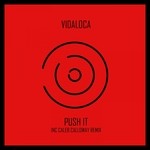 cover: Vidaloca - Push It