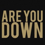 cover: Arjana - Are You Down