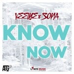 cover: Atg|Veeiye & Sona - Know Now