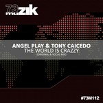 cover: Angel Play & Tony Caicedo - The World Is Crazzy