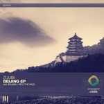 cover: Zuubi - Beijing/Into The Wild