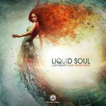 cover: Liquid Soul - Lost Gravity