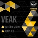 cover: Veak - Face The Storm/Burn Out