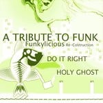 cover: A Tribute To Funk - A Tribute To Funk (Funkylicious Re-Costruction)