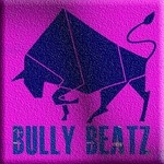 cover: Dani Sbert - Bully Beatz Compilation