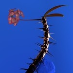 cover: Flume - Skin Companion EP II (Explicit)