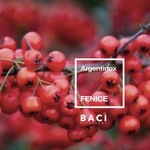 cover: Argentinox - Fenice