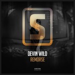 cover: Devin Wild - Remorse