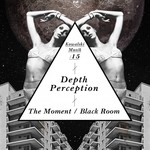 cover: Depth Perception - The Moment/Black Room