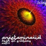 cover: Anfetaminacid - High On Ecstasy