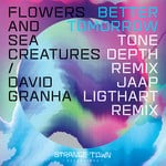 cover: David Granha|Flowers|Sea Creatures - Better Tomorrow