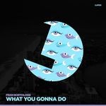 cover: Fran Bortolossi - What You Gonna Do