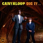 cover: Cantaloop - Dig It...