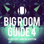 cover: Various - Big Room Guide 4