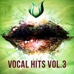 cover: Various - Vocal Hits Vol 3