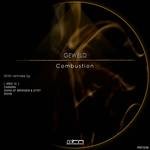 cover: Geweld - Combustion