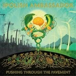 cover: The Polish Ambassador - Pushing Through The Pavement