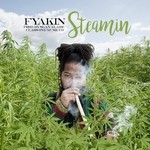 cover: Fyakin - Steamin