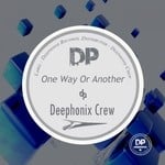 cover: Deephonix Crew - One Way Or Another