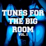 cover: Various - Tunes For The Big Room Vol 1