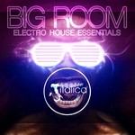 cover: Various - Big Room (Electro House Essentials)