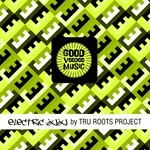 cover: Tru Roots Project - Electric Juju EP