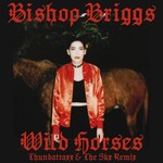 cover: Bishop Briggs - Wild Horses (Thundatraxx & The SKX Remix)