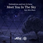 cover: Disfunktion|Levi|Mira Blues|Suiss - Meet You In The Sky