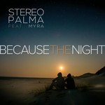 cover: Stereo Palma - Because The Night