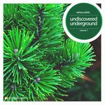 cover: Madloch|Various - Undiscovered Underground Vol 7