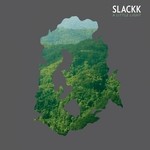 cover: Slackk - A Little Light