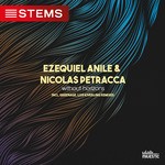 cover: Ezequiel Anile|Nicolas Petracca - Without Horizons