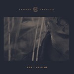 cover: Sandro Cavazza - Don't Hold Me