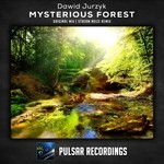 cover: Dawid Jurzyk - Mysterious Forest