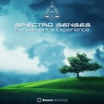 cover: Spectro Senses - Fundamental Experience