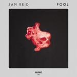 cover: Sam Reid - Fool