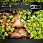 cover: Curva|Halvy|Nico Luss - Swarm EP