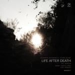 cover: Giuseppe Antonino - Life After Death (feat Young Bling)