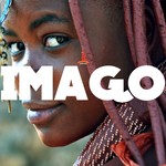 cover: Imago - Shrooms